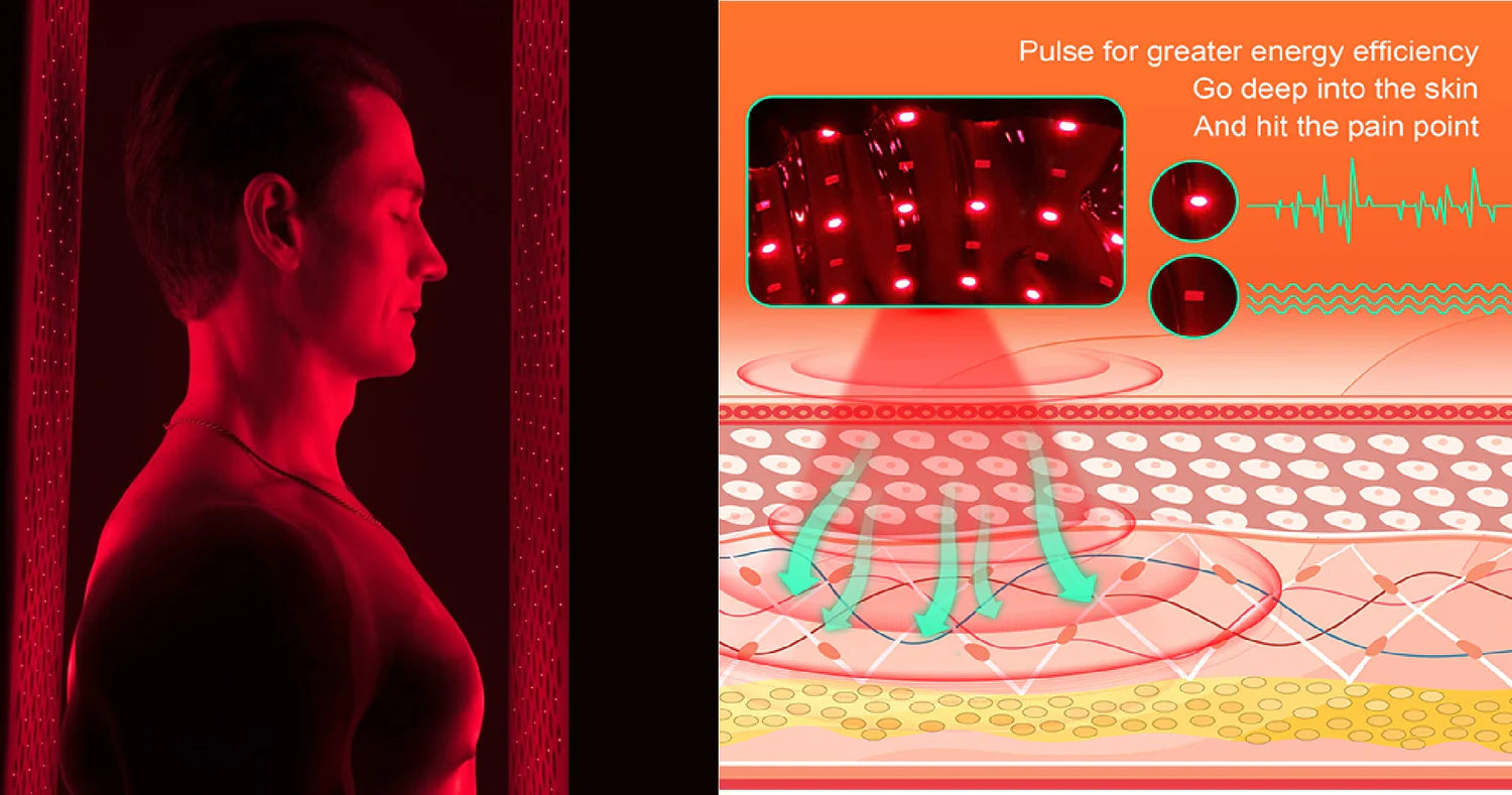 Bryan Johnson's Red Light Therapy for Anti-Aging: Scientific Insights