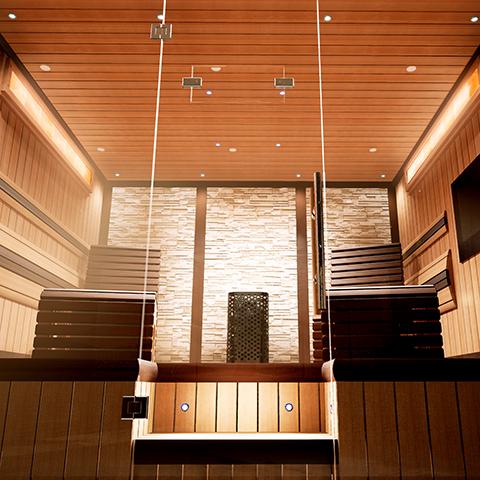 Bathology Dimmable 2" LED Sauna Spotlight Kits | Spectrum 441D
