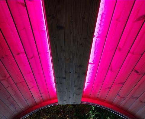 SaunaLife Cromoterapia Iluminación LED para sauna Wifi de 48" | EMood